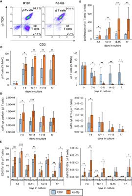 An optimized cultivation method for future in vivo application of γδ T cells